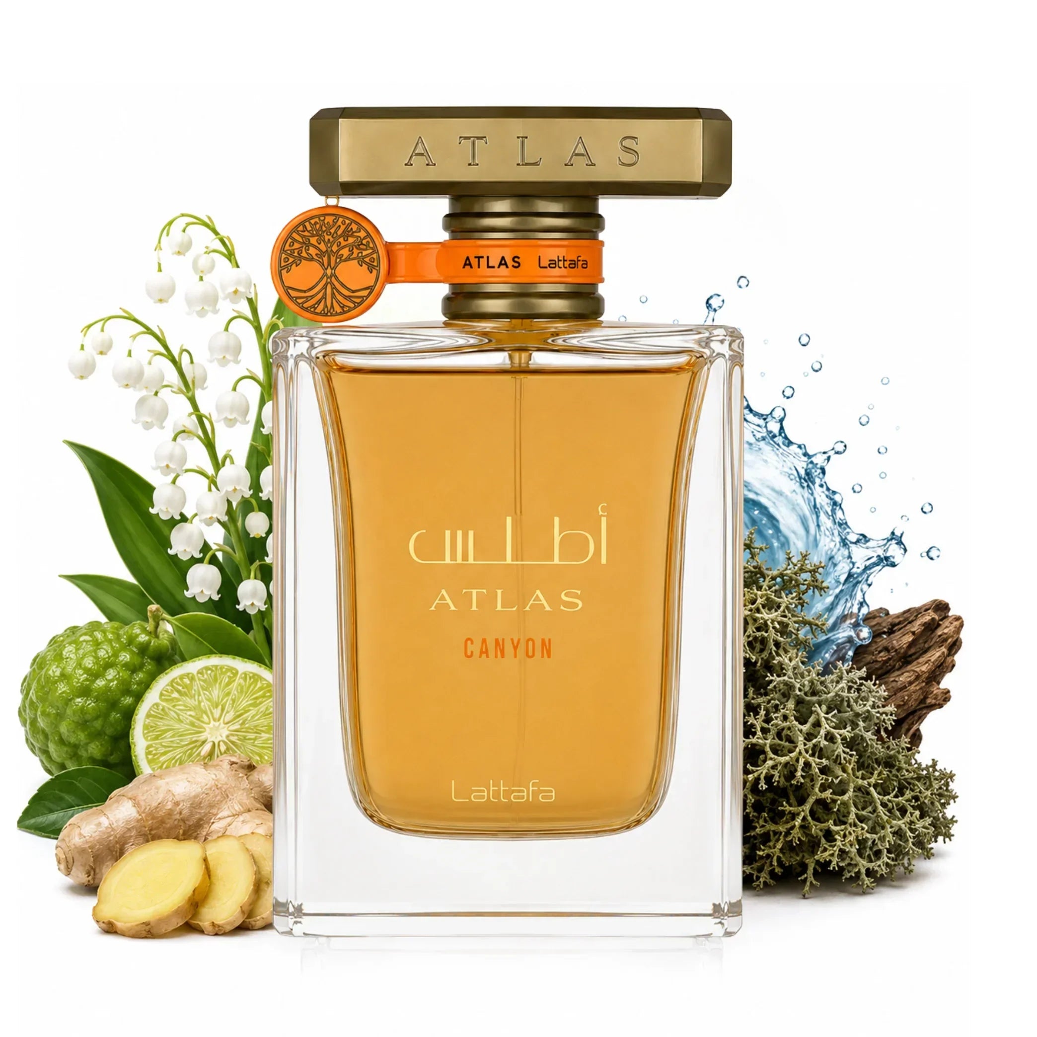 Lattafa Atlas Canyon perfume bottle surrounded by fragrance ingredients